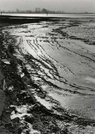 Winterliche Spuren und Eisstrukturen am Wasser