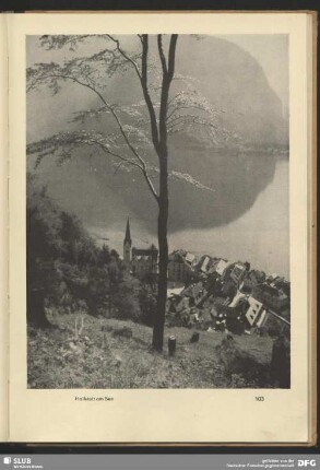 Hallstatt am See