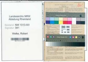 Entnazifizierung Robert Welke , geb. 30.10.1907 (Arbeiter)