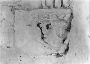 Mann und Adler
