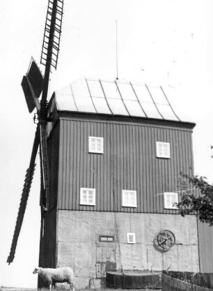 Oderwitz-Oberoderwitz. Neumannmühle, Bockmühle