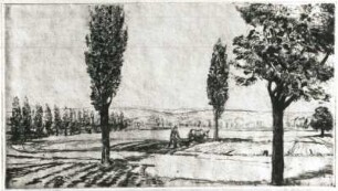 Landschaft mit Pappeln