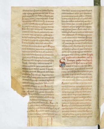 Nazarius et Celsus martyres