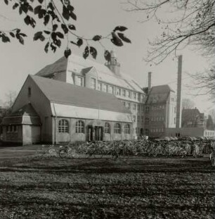 Ehemalige Bürgerschule III, Albert-Schweitzer-Gymnasium