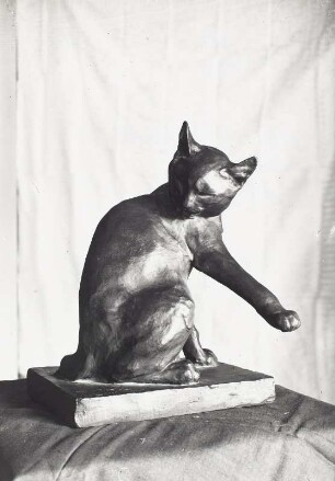 Katze, sich putzend
