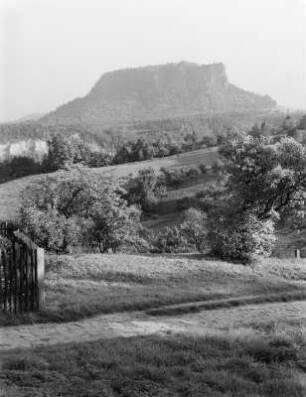 Lilienstein von Weißig aus