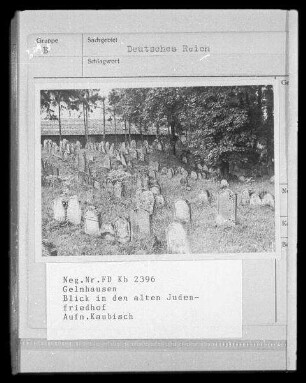 Gelnhausen. Jüdischer Friedhof. Blick übr Grabanlagen
