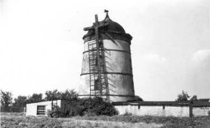 Uebigau-Wahrenbrück-Kauxdorf. Wallholländer, Baujahr 1889