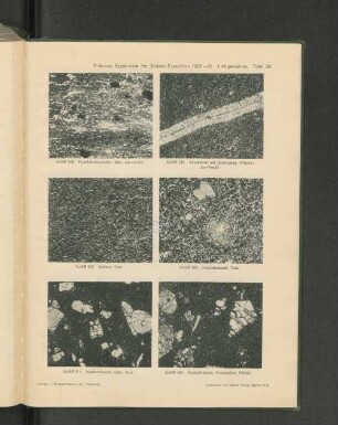 Thilenius, Ergebnisse der Südsee-Expedition 1908-10- I.Allgemeines. Tafel 29