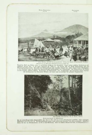 Küstenurwald in Kamerun