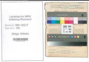 Entnazifizierung Wilhelm Welge , geb. 07.08.1904 (Zollbeamter)