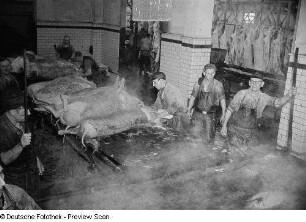 Reinigung der toten Schweine