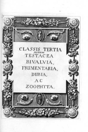 CLASSIS TERTIA SISTENS TESTACEA BIVALVIA, FRUMENTARIA, DUBAI, AC ZOOPHYTA