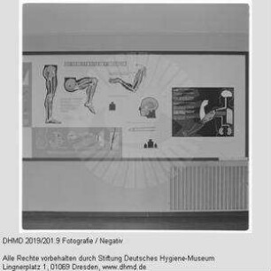 Nationale Hygiene-Ausstellung - Raum 11 - "Die Arbeitsweise der Muskeln"