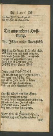 13. Die angenehme Hoffnung