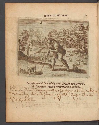 72. Inventor picturae.