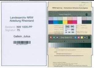 Entnazifizierung Julius Gallein , geb. 24.02.1895 (Arbeiter)