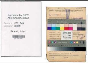 Entnazifizierung Julius Brandt , geb. 10.07.1899 (Saenger)