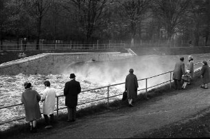 Freiburg: Hochwasser der Dreisam am Hirzbergsteg