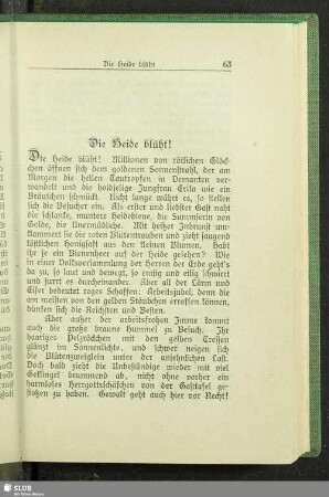 Die Heide blüht!