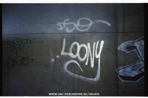 LOONY