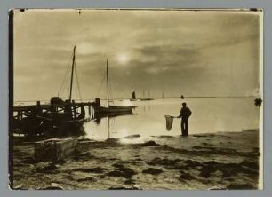 Hiddensee. Hafen mit Fischkuttern und Fischer am Strand