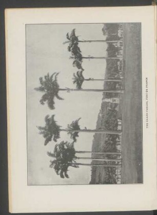 The Grand Parade, Fort de France - [Photograph]