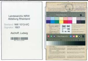 Entnazifizierung Ludwig Aschoff , geb. 05.10.1898 (Schneider)