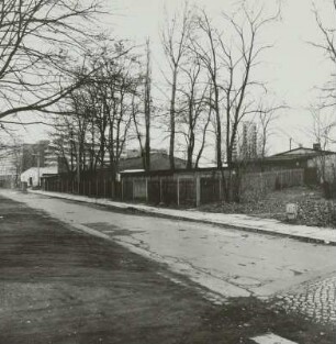 Lingnerallee