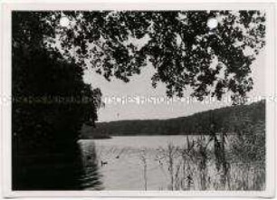 Berlin, Schlachtensee