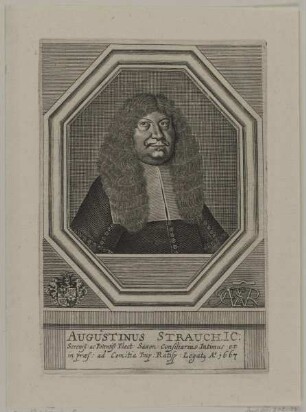 Bildnis des Augustinus Strauch