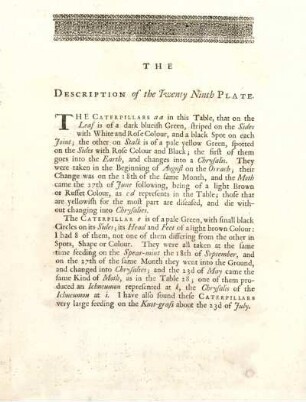 The Description of the Twenty Ninth Plate