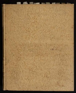 Dissertatio Inavgvralis Medica Sistens Qvaedam De Hydrophobiae Natvra Et Cavssis