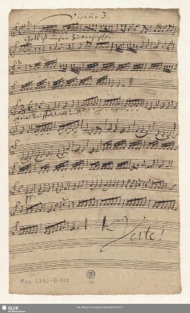 Violino 3. / Cornu. [3]