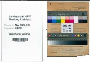Entnazifizierung Gertrud Steinhorst, geb. 01.02.1900 (Lehrerin)