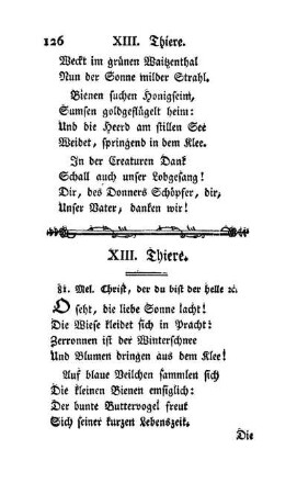 XIII. Thiere.