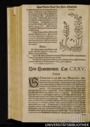 Cap. CXXV. Von Scammonien.