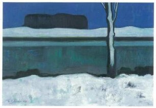 Teichlandschaft im Winter