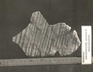 Wellenfurchen im unteren Buntsandstein aus Crotenlaide bei Meerane. Leipzig: Geologisches Landesamt