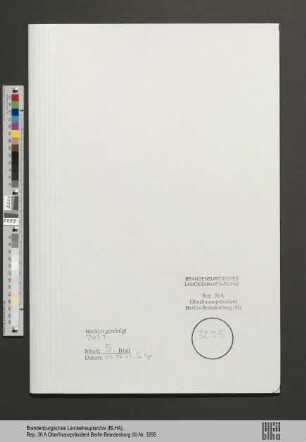 Bielschowsky, Max