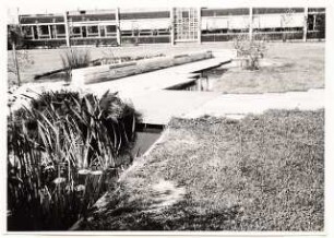 Grünflächen am Max-Planck-Gymnasium, Düsseldorf: Schulgebäude, Wasserbecken, Sitzmauer