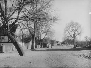 Zeißholz, Dorfstraße : Zeißholz. Dorfstraße (ungepflastert mit Linden) des Straßendorfes. Blick nach Ostsüdosten