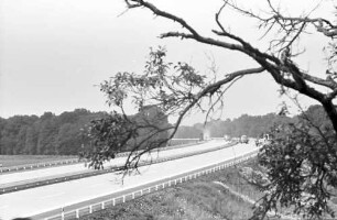 Freiburg-Mitte und -Nord: Durch Baumäste auf Autobahn zwischen Freiburg-Mitte und -Nord