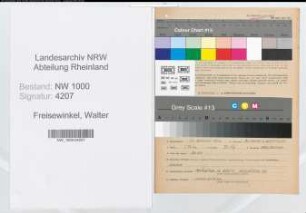 Entnazifizierung Walter Freisewinkel, geb. 31.08.1900 (Angestellter)