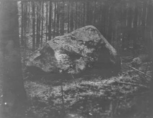 Findling im gerodeten Wald : Ein Mann im Wald steht an einem Findling, mit Inschrift. Neben dem Findling eine Bank