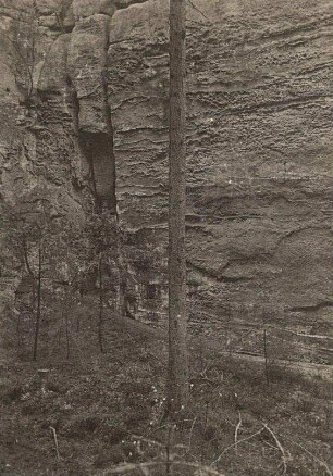 Elbsandsteingebirge. Sandsteinfelsen mit Kleinformen der Verwitterung