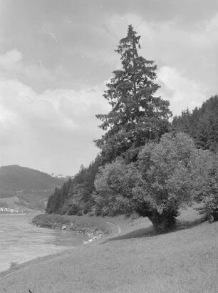 Blick in das Donautal