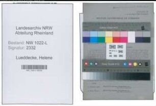 Entnazifizierung Helene Lueddecke , geb. 01.06.1891 (Finanzangestellte)
