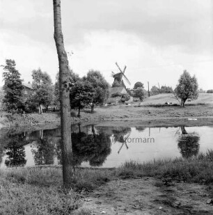 Dorfteich: vorn links Baumstamm: hinten Bäume und Häuser: hinten Mitte Windmühle: hinten links Wiesen mit Rindern