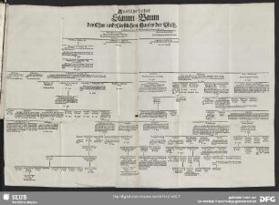 [Num. I.] Ausführlicher Stamm-Baum des Chur- und Fürstlichen Hauses der Pfaltz